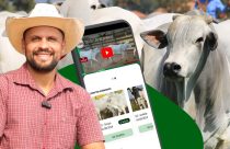 smartboi - aplicativo de compra e venda de gado - romerito goncalves