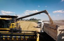 Princesa: cultivar promete nova era da cevada na Castrolanda