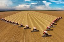 Queremos criar uma ‘mini BrasilAgro’ no Paraguai e arrendar terras, diz CEO