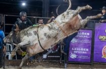 O Trem Vai Pular: Mega Leilão da Cia JK Bucking Bulls apresenta touros de alta performance