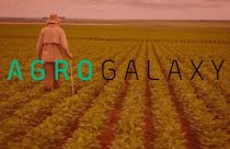 Agrogalaxy - recuperacao judicial