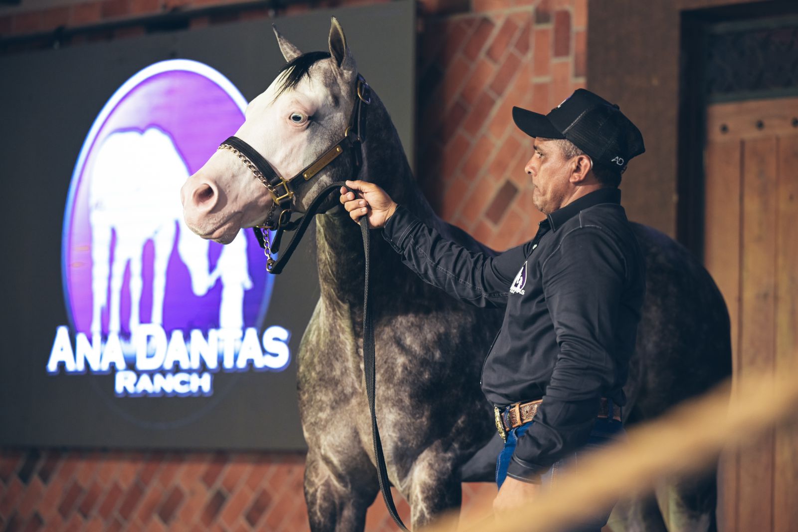 Ana Dantas Ranch 3