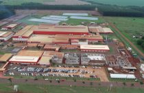 Gigante da suinocultura Aurora investirá R$ 400 milhões para ampliar indústria