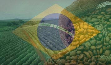 Governo foca em 5 produtos do agro para destinos alternativos aos EUA