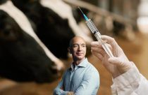 Por que Jeff Bezos investe milhões para acabar com a emissão de metano na pecuária?