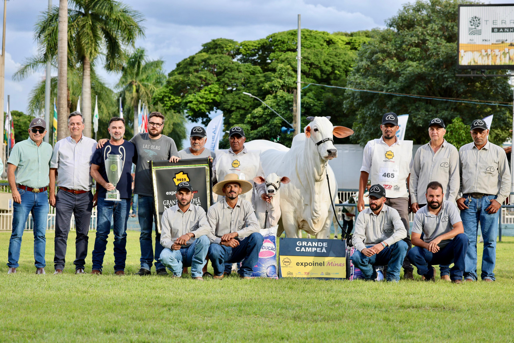 Casa Branca foi melhor criador, expositor e supremo nelore na Expoinel Minas 2025