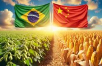 China pretende iniciar plantio de soja e milho no Brasil