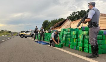 Polícia Rodoviária de SP encontra 9 toneladas de maconha em carga de milho