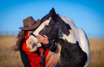 Conheça as raças de cavalos mais dóceis do mundo