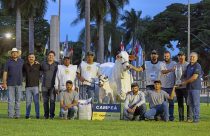 CARINA FIV DO KADO, Campeã Vaca Adulta Expoinel MG 2025
