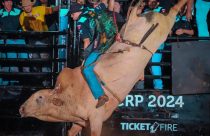 Seis times, R$ 200 mil em jogo e quatro noites de montarias: entenda como serão definidos os campeões do Votu International Rodeo