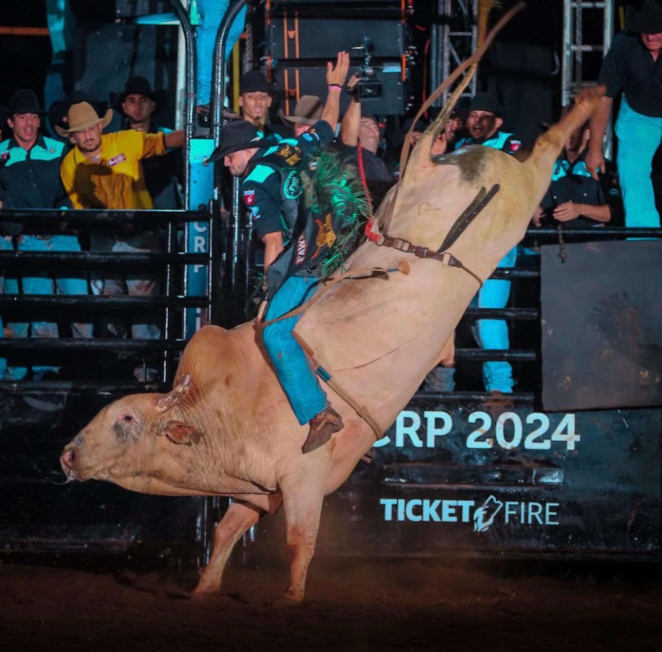 Seis times, R$ 200 mil em jogo e quatro noites de montarias: entenda como serão definidos os campeões do Votu International Rodeo