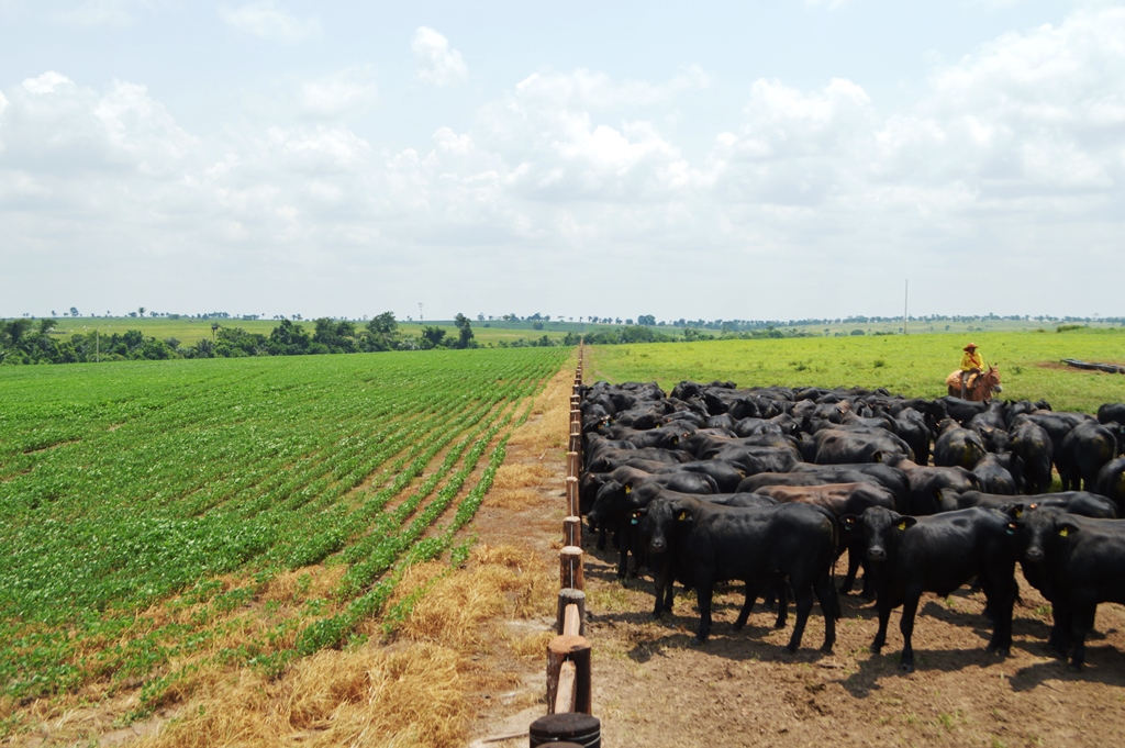 Visita-Fazenda-Corumbiara-Expresso-Barretos-Chupinguaia-Foto-Dhiony-Costa-e-Silva