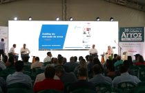 Câmara Setorial do Arroz debate custos de produção anunciados pela Conab