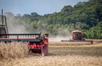 colheita da soja com colhedeira massey fergusson - fotao com mata ao fundo area de preservacao permanente
