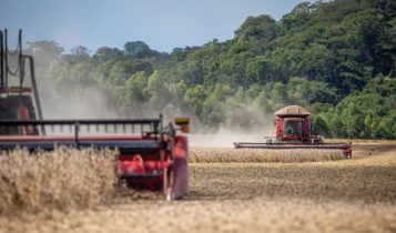 colheita da soja com colhedeira massey fergusson - fotao com mata ao fundo area de preservacao permanente