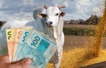 credito rural para custeio agricola ou compra de areas fazendas - comrpa de gado