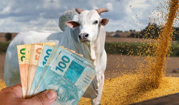 credito rural para custeio agricola ou compra de areas fazendas - comrpa de gado