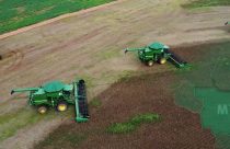 Alerta na lavoura: As táticas infalíveis dos produtores contra as doenças da soja