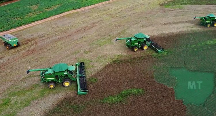 Alerta na lavoura: As táticas infalíveis dos produtores contra as doenças da soja