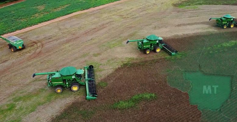 Alerta na lavoura: As táticas infalíveis dos produtores contra as doenças da soja