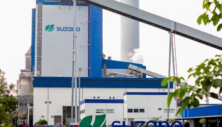 Suzano registra recorde de vendas em 2024 com nova fábrica no MS e aquisição nos Estados Unidos