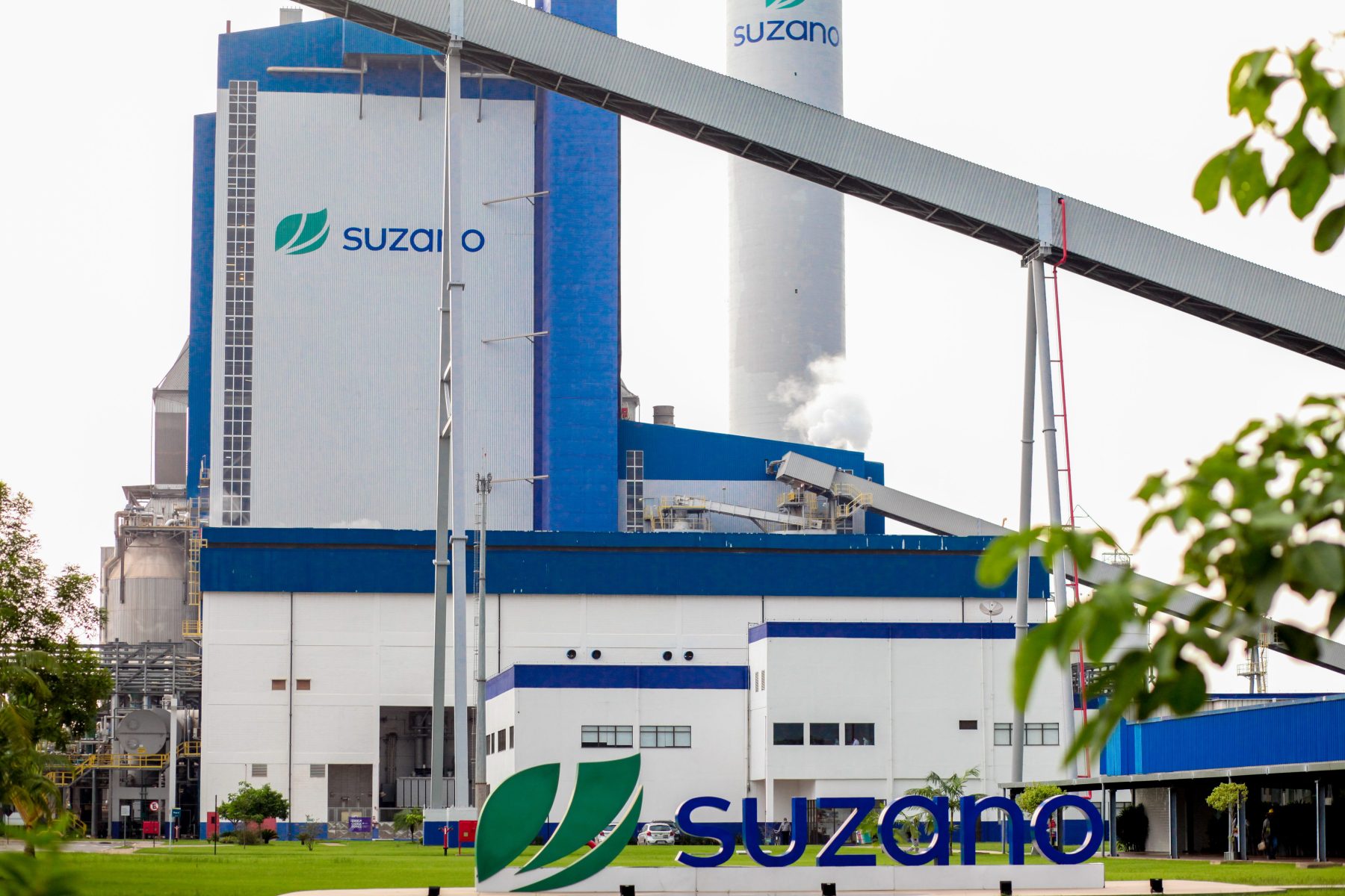 Suzano registra recorde de vendas em 2024 com nova fábrica no MS e aquisição nos Estados Unidos