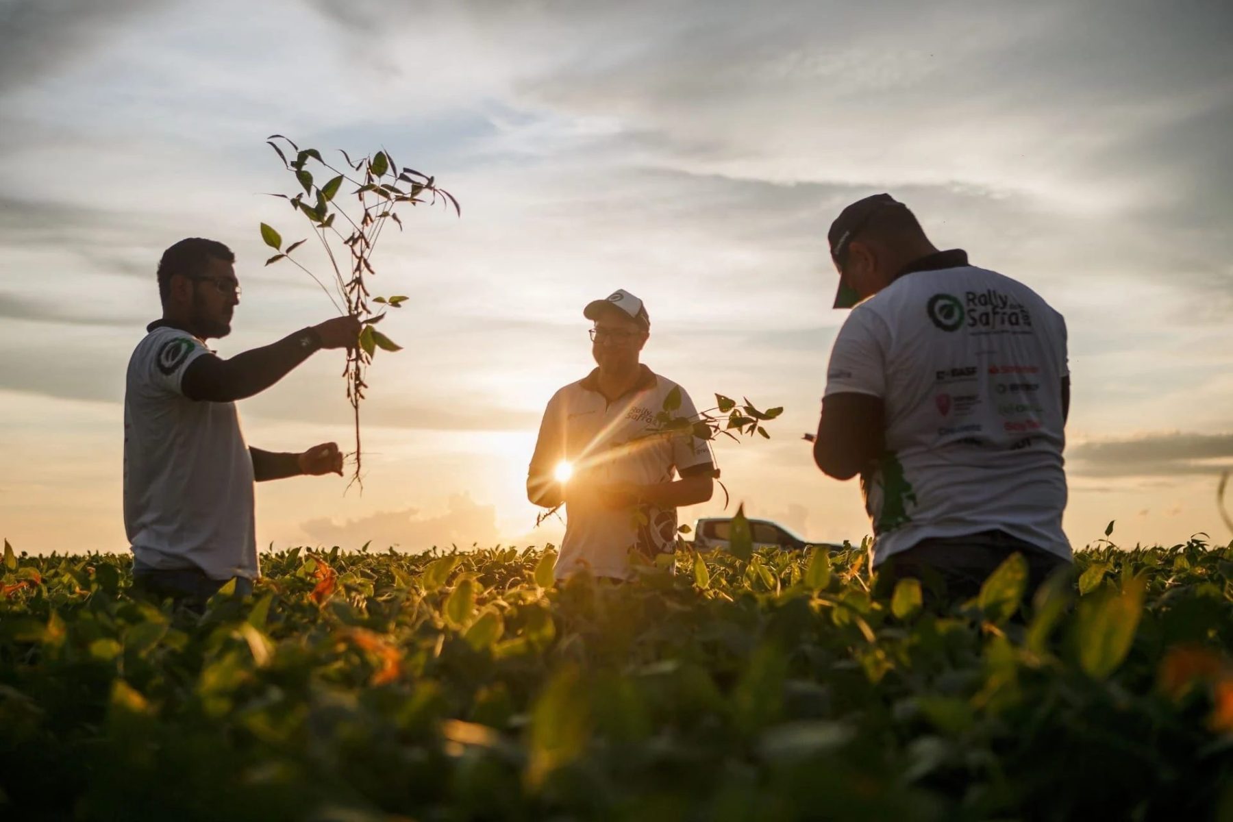 171,3 milhões de toneladas e uma safra dividida pelo clima