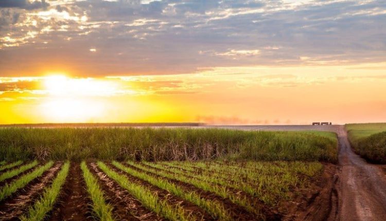 Onda de calor extrema chega com tudo: descubra até quando vai durar