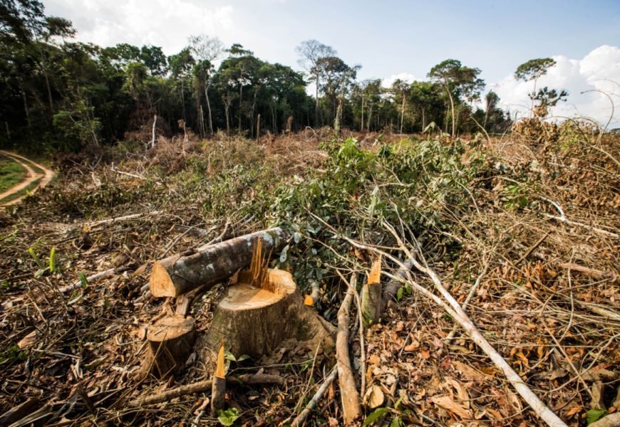 BNDES evita R$ 728 milhões de crédito rural a desmatadores ilegais