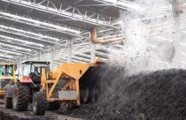 Parceria entre empresas brasileiras cria primeiro adubo orgânico rastreado por inteligência artificial