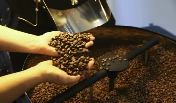 Preço do café cai pela primeira vez depois de 18 meses, diz IBGE