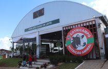 Mais de 150 animais participam da 3ª Exposição Leiteira da ExpoAgro Cotricampo