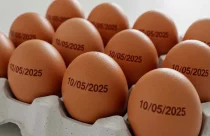 País tem recorde na produção de ovos, abate de bovinos, frango e porco