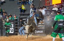 pbr brazil
