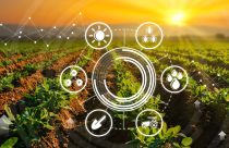 O investimento captado pela Bonsai Robotics Inc., permitirá aprimoramento de software, expansão de parcerias e aceleração da comercialização de soluções de IA no agronegócio.