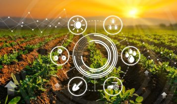 O investimento captado pela Bonsai Robotics Inc., permitirá aprimoramento de software, expansão de parcerias e aceleração da comercialização de soluções de IA no agronegócio.