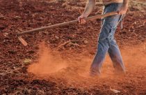 Capinar um terreno pode aumentar a testosterona em quase 50%, revela estudo