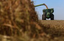 Clima colabora e colheita de soja atinge 82% no Brasil