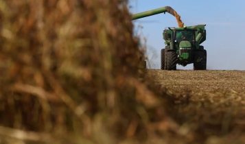 Clima colabora e colheita de soja atinge 82% no Brasil