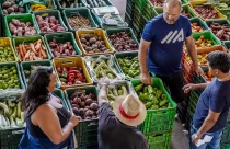 Inflação dos alimentos é explicada por menos oferta, diz IBGE