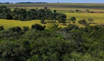 reserva ambiental - area de preservacao permanente - meio ambiente - cerrado