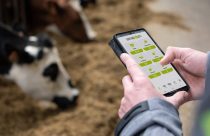 Conheça seis tecnologias para reduzir custos e aumentar a eficiência da produção leiteira