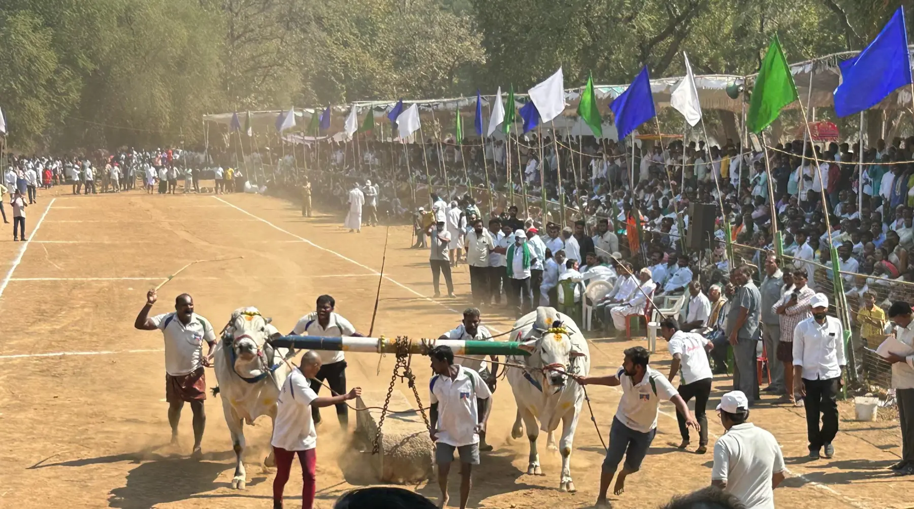 torneio de Mahanandi - Andhra Pradesh - Ongole Nelore 1