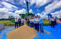 SindArroz-SC celebra Abertura da Colheita de Arroz e pede valorização do grão nacional