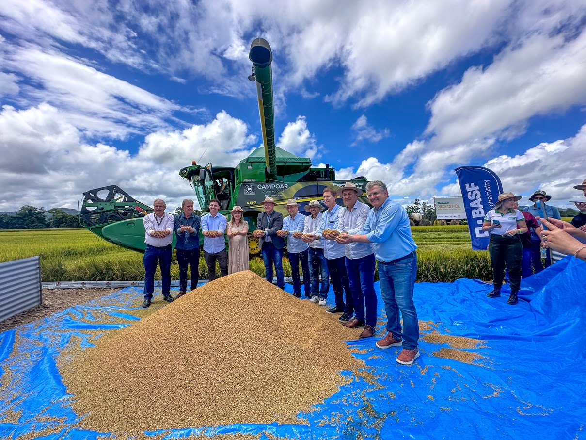 SindArroz-SC celebra Abertura da Colheita de Arroz e pede valorização do grão nacional