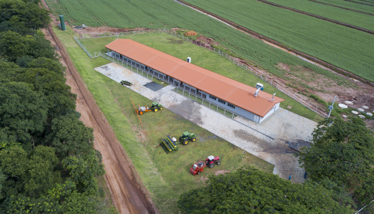 Oportunidade única para ingressar gratuitamente no setor agropecuário