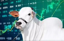 viatina-19 entra para o mercado de acoes na bolsa de valores