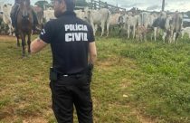 PC busca gado furtado vendido em leilão e encontra animais silvestres em cativeiro