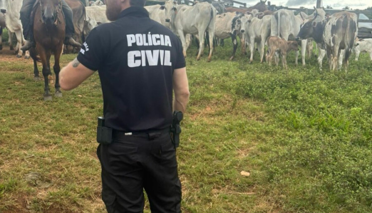 PC busca gado furtado vendido em leilão e encontra animais silvestres em cativeiro